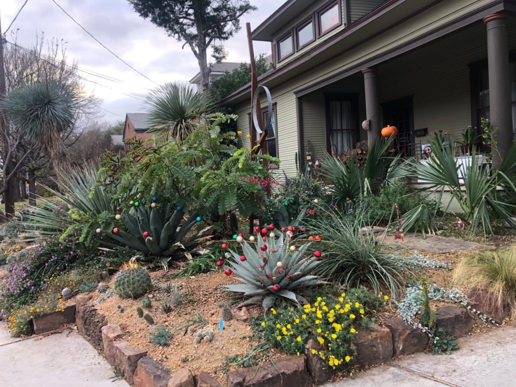 Junius Heights Historic District Yard of the Month January 2022