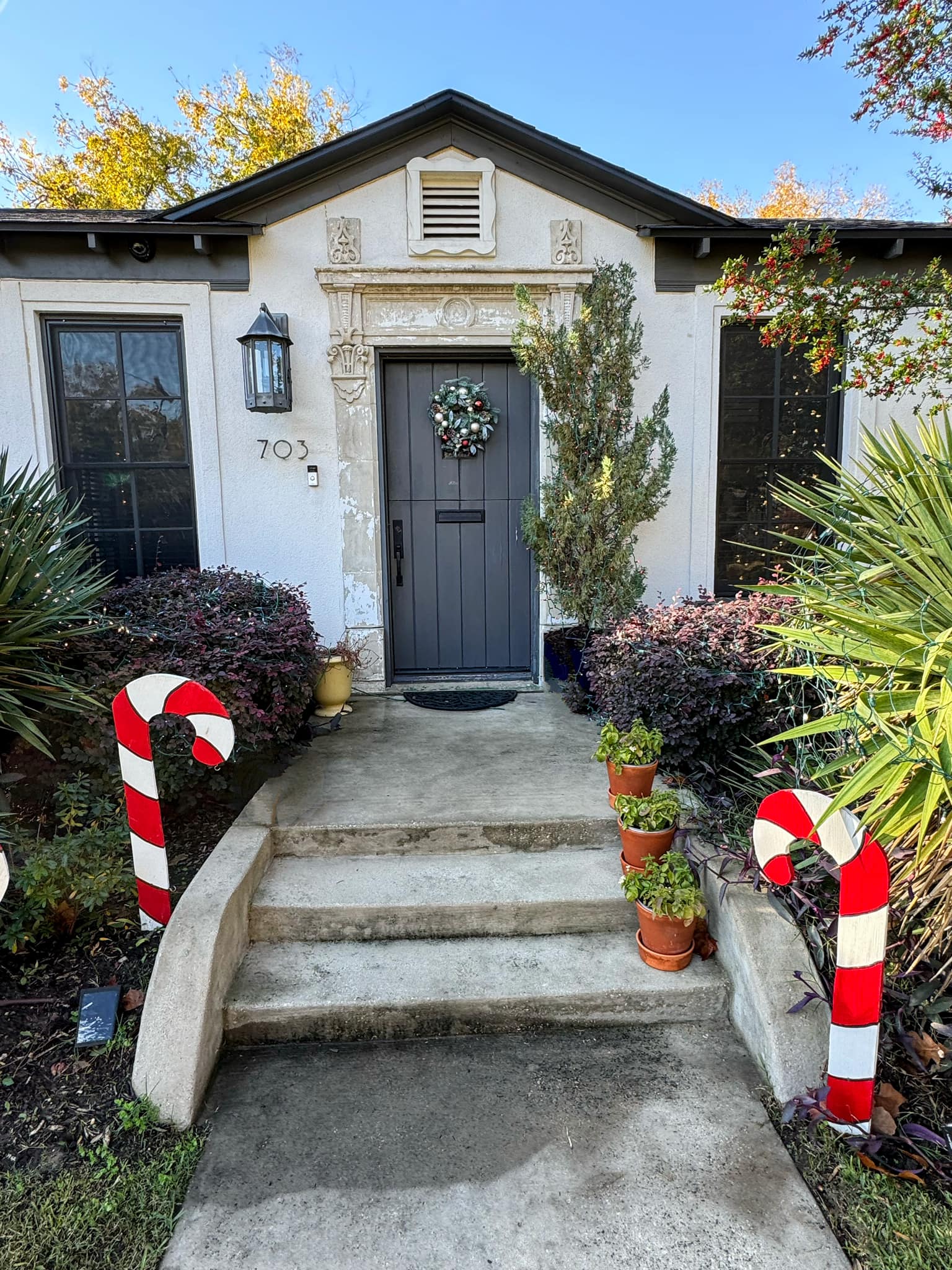 Junius Heights Historic District Yard of the Month December 2023