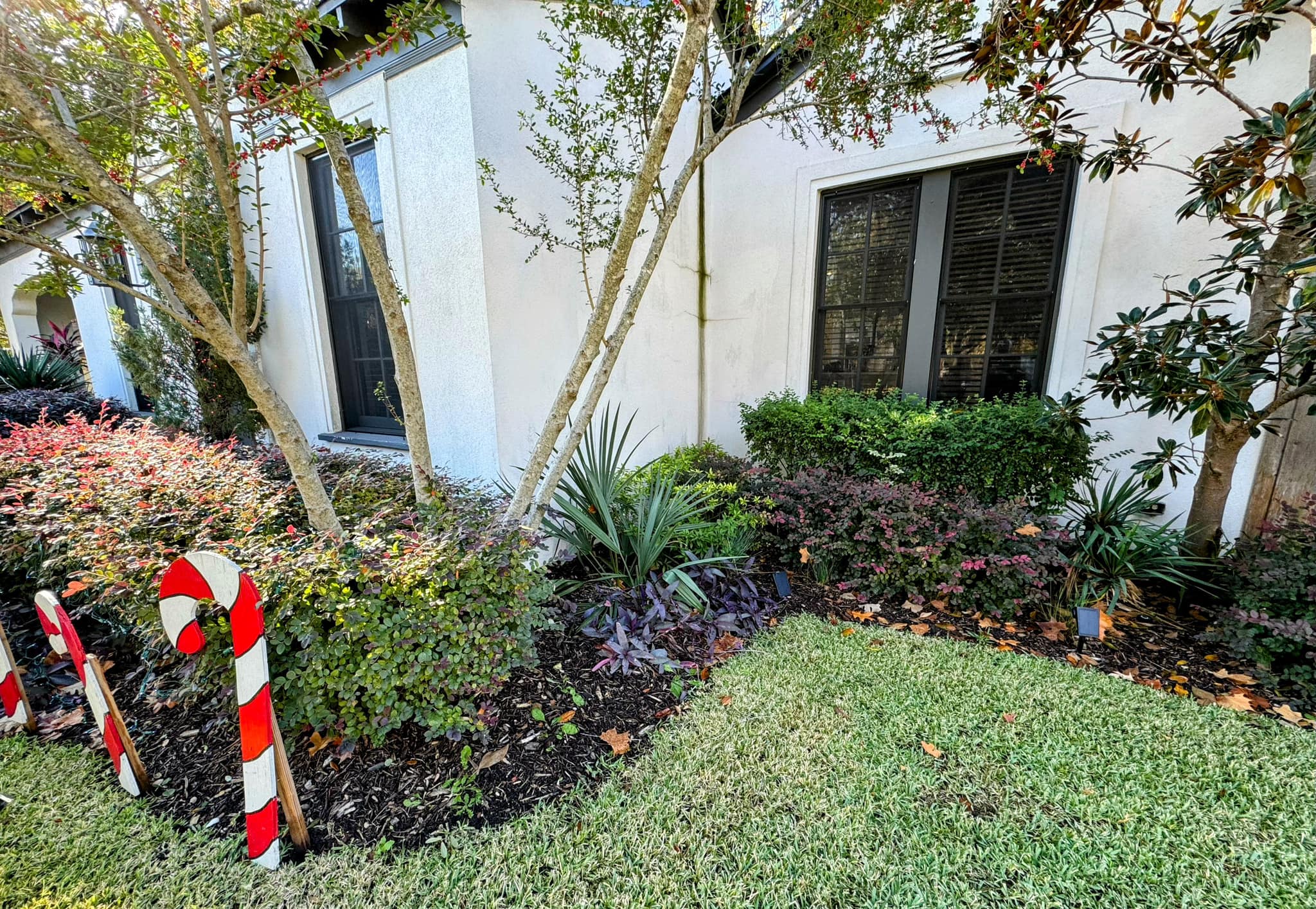 Junius Heights Historic District Yard of the Month December 2023