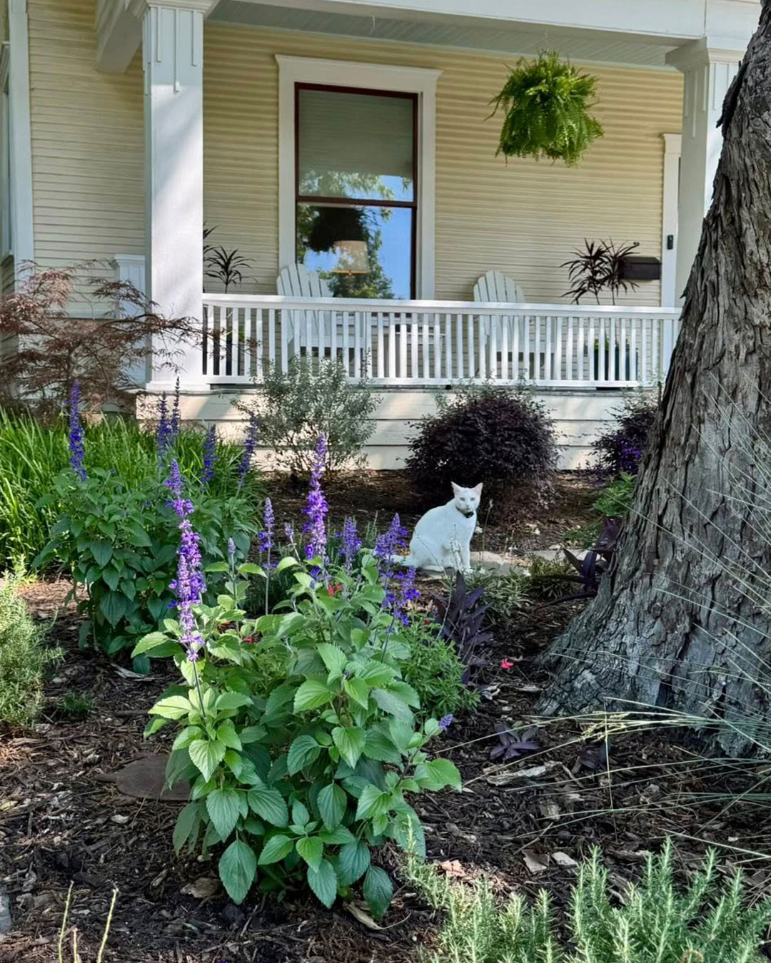 Junius Heights Historic District Yard of the Month May 2025