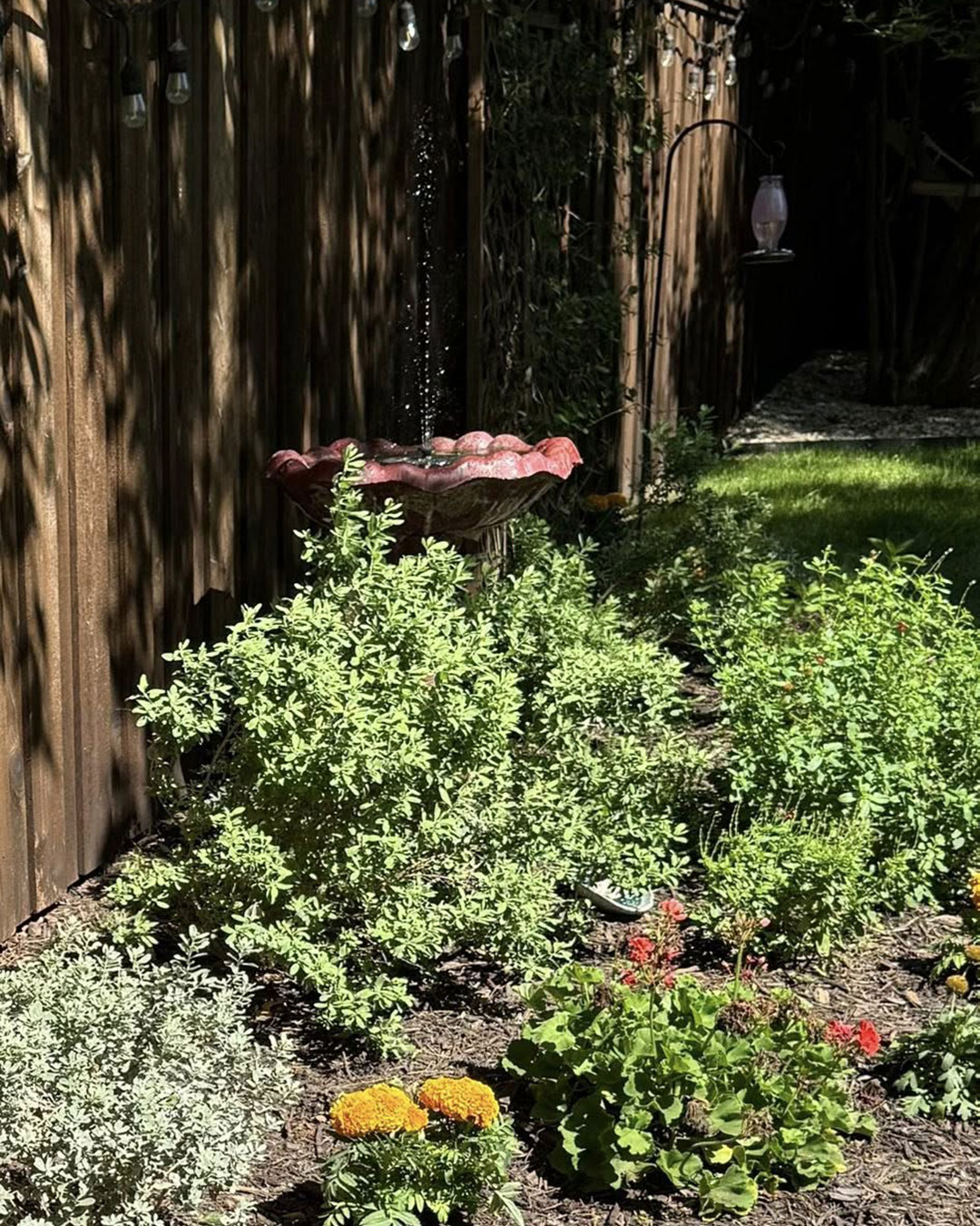 Junius Heights Historic District Yard of the Month May 2025