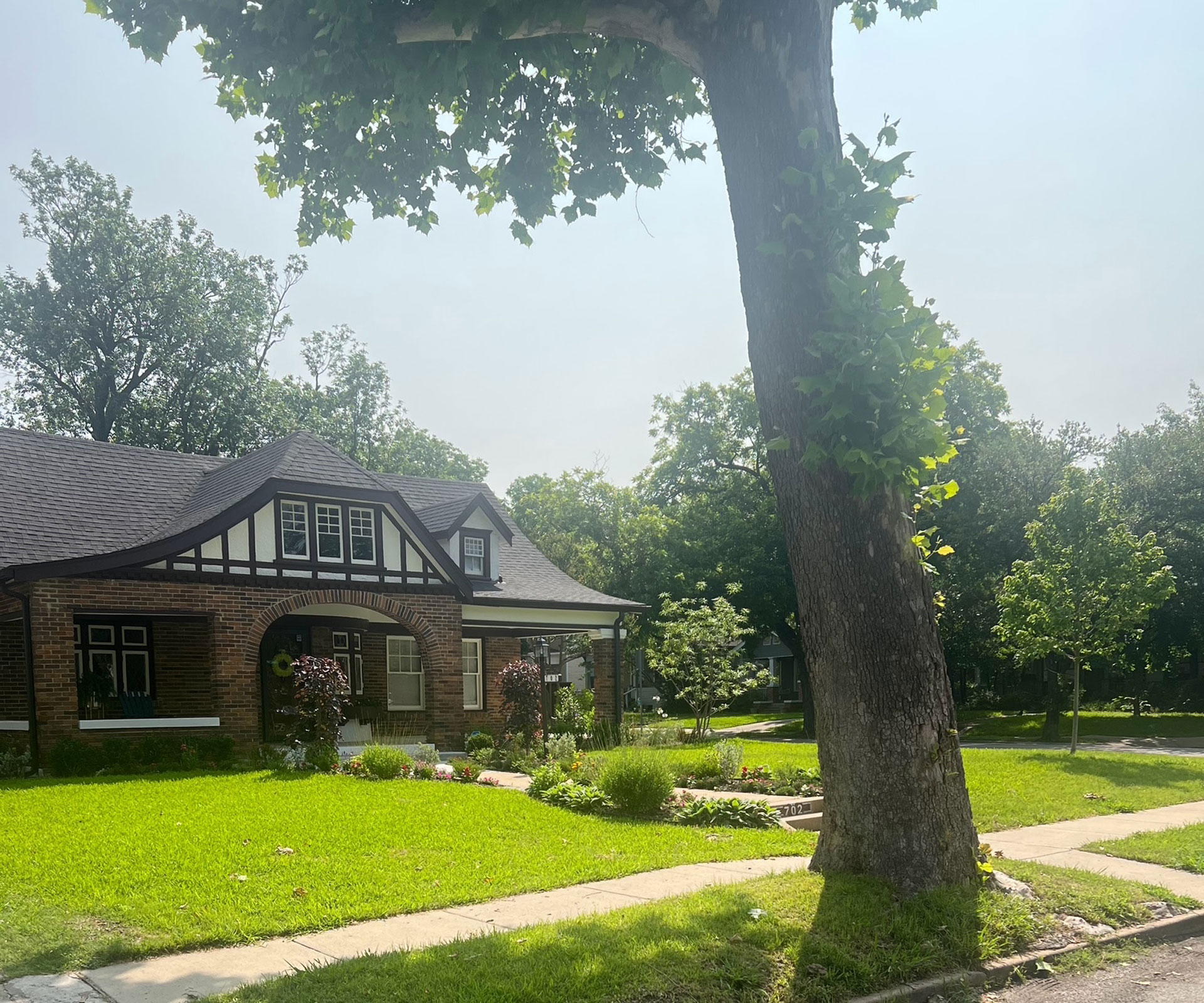Junius Heights Historic District Yard of the Month June 2025