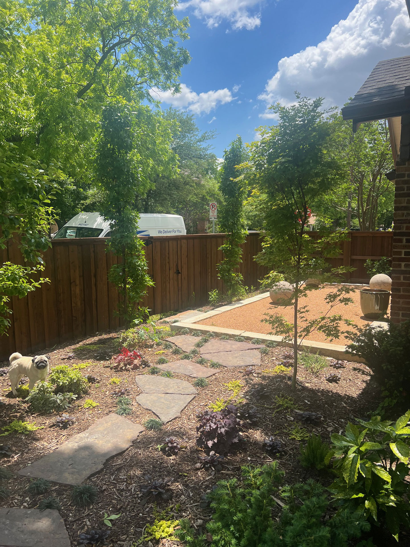 Junius Heights Historic District Yard of the Month June 2025